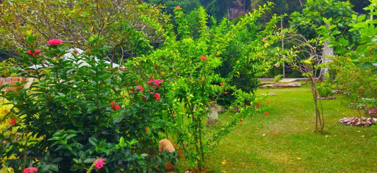 Dan Zoranz Self Catering Guest House La Digue Eksteriør bilde
