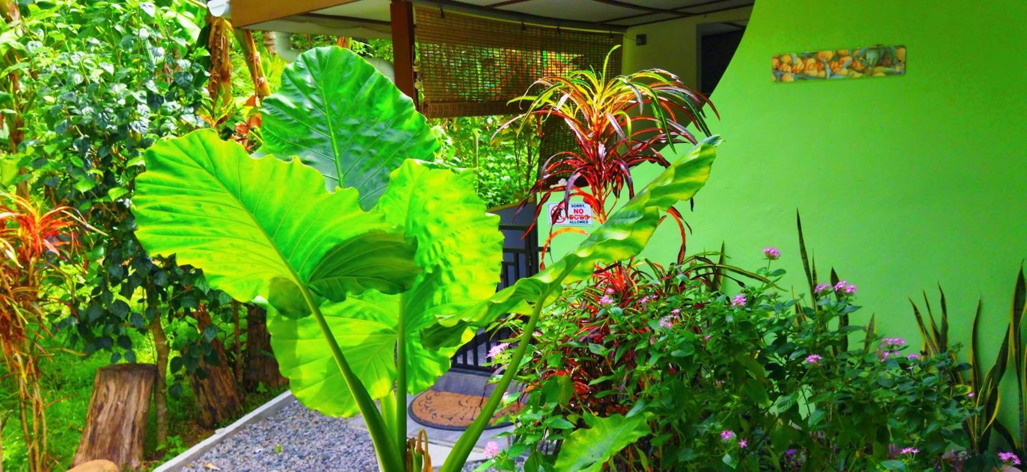 Dan Zoranz Self Catering Guest House La Digue Eksteriør bilde